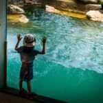 Kid in Aquarium: THINGS TO DO WITH KIDS IN SUMMER