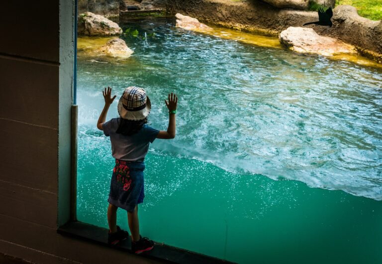 Kid in Aquarium: THINGS TO DO WITH KIDS IN SUMMER